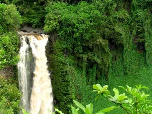 Makahiku Falls Wall Decal