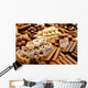 Selection Chocolate Row