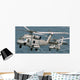 Seahawk Helicopters Wall Mural