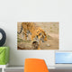 Tiger Wall Mural