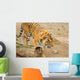 Tiger Wall Mural