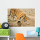 Tiger Wall Mural