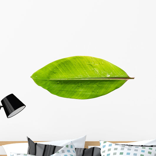 Banana leaf Wall Decal
