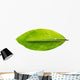 Banana leaf Wall Decal