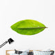Banana leaf Wall Decal