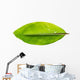 Banana leaf Wall Decal