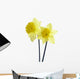 Yellow Spring Daffodils Wall Decal
