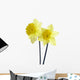 Yellow Spring Daffodils Wall Decal