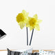 Yellow Spring Daffodils Wall Decal
