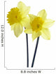 Yellow Spring Daffodils Wall Decal