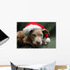 Pitbull Pup Santa Hat