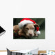 Pitbull Pup Santa Hat