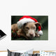 Pitbull Pup Santa Hat