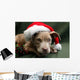 Pitbull Pup Santa Hat