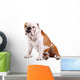 Cane Bulldog Wall Mural