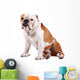 Cane Bulldog Wall Mural
