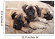 bullmastiff puppy 88 Wall Mural