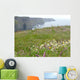 Cliff O Moher