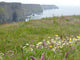 Cliff O Moher