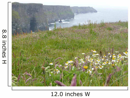 Cliff O Moher