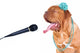 Singing Lady Dog Portrait Wall Decal