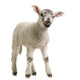 Lamb Wall Decal