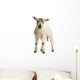 agneau Wall Decal