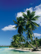 caribbean beach Wall Mural
