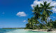 Beach Wall Decal Design 4
