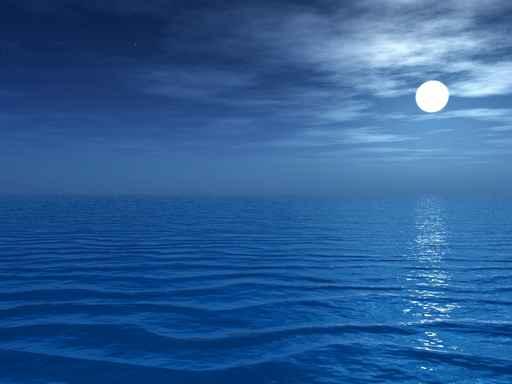 Moonlight Wall Decal Design 1