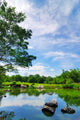 Rock Garden Pond