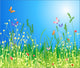 Flowers Wall Decal