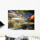 Group Fishes Wall Mural