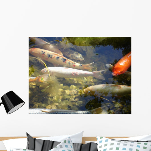 Group Fishes Wall Mural