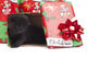 Kitten for Christmas Gift Wall Mural