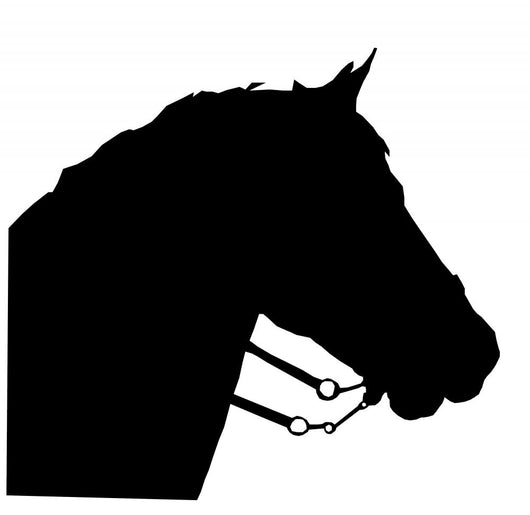 Horse Wall Decal