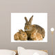 Lapine Et Ses Lapereaux Wall Decal