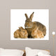 Lapine Et Ses Lapereaux Wall Decal