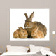 Lapine Et Ses Lapereaux Wall Decal