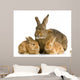 Lapine Et Ses Lapereaux Wall Decal