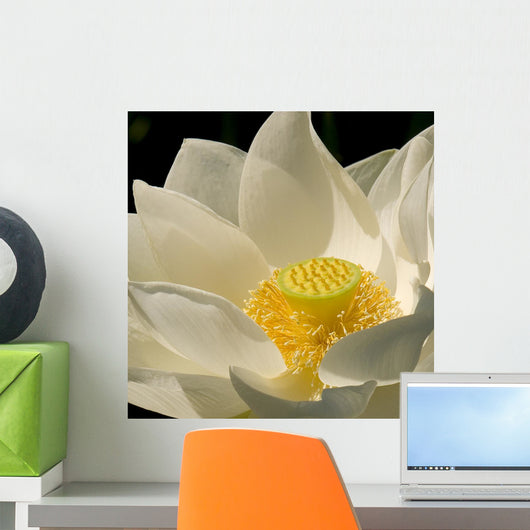 Lotus White Wall Decal