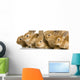 Group of Young Rabbits Wall Mural