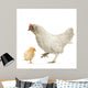 Poule Et Son Poussin Wall Decal