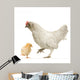 Poule Et Son Poussin Wall Decal