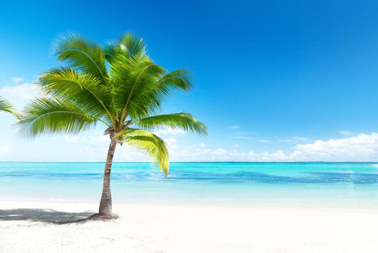 palm and sea Wall Mural