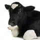 Veal