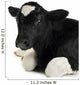 Veal
