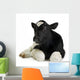 Veau Wall Decal