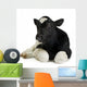 Veau Wall Decal
