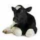 Veau Wall Decal